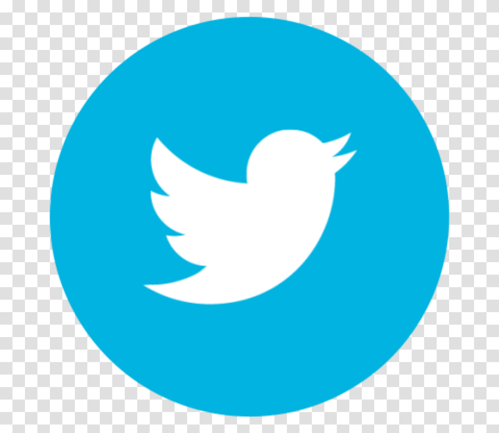 Round Twitter Icon White Bird On Background Circle Twitter Icon Vector, Logo, Trademark, Animal Transparent Png