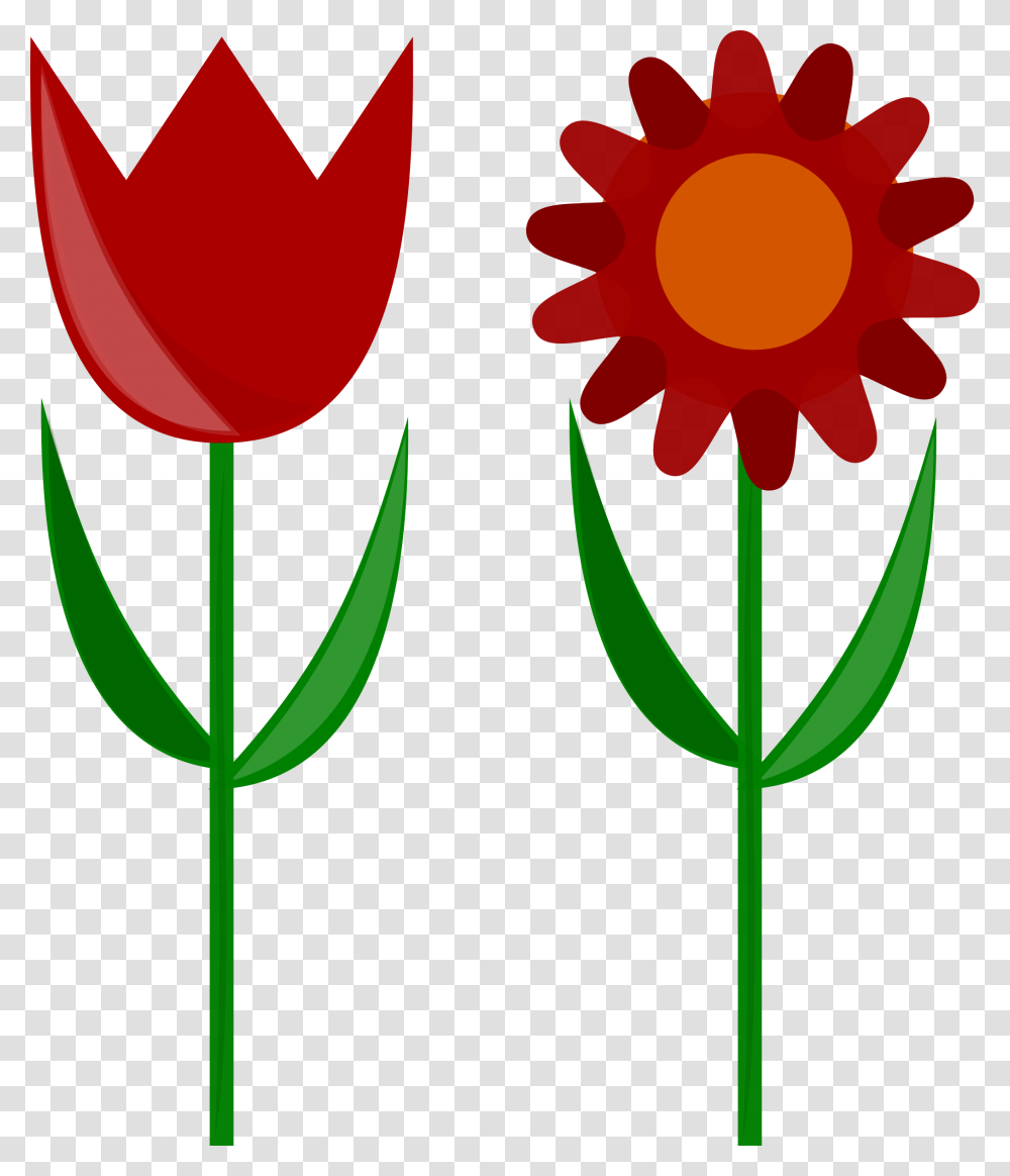 Row Of Flowers Clip Art, Plant, Blossom, Petal, Daisy Transparent Png