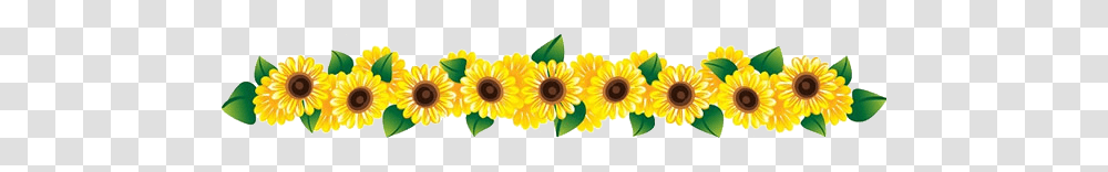 Row Of Sunflowers Clipart, Plant, Daisy, Daisies, Blossom Transparent Png