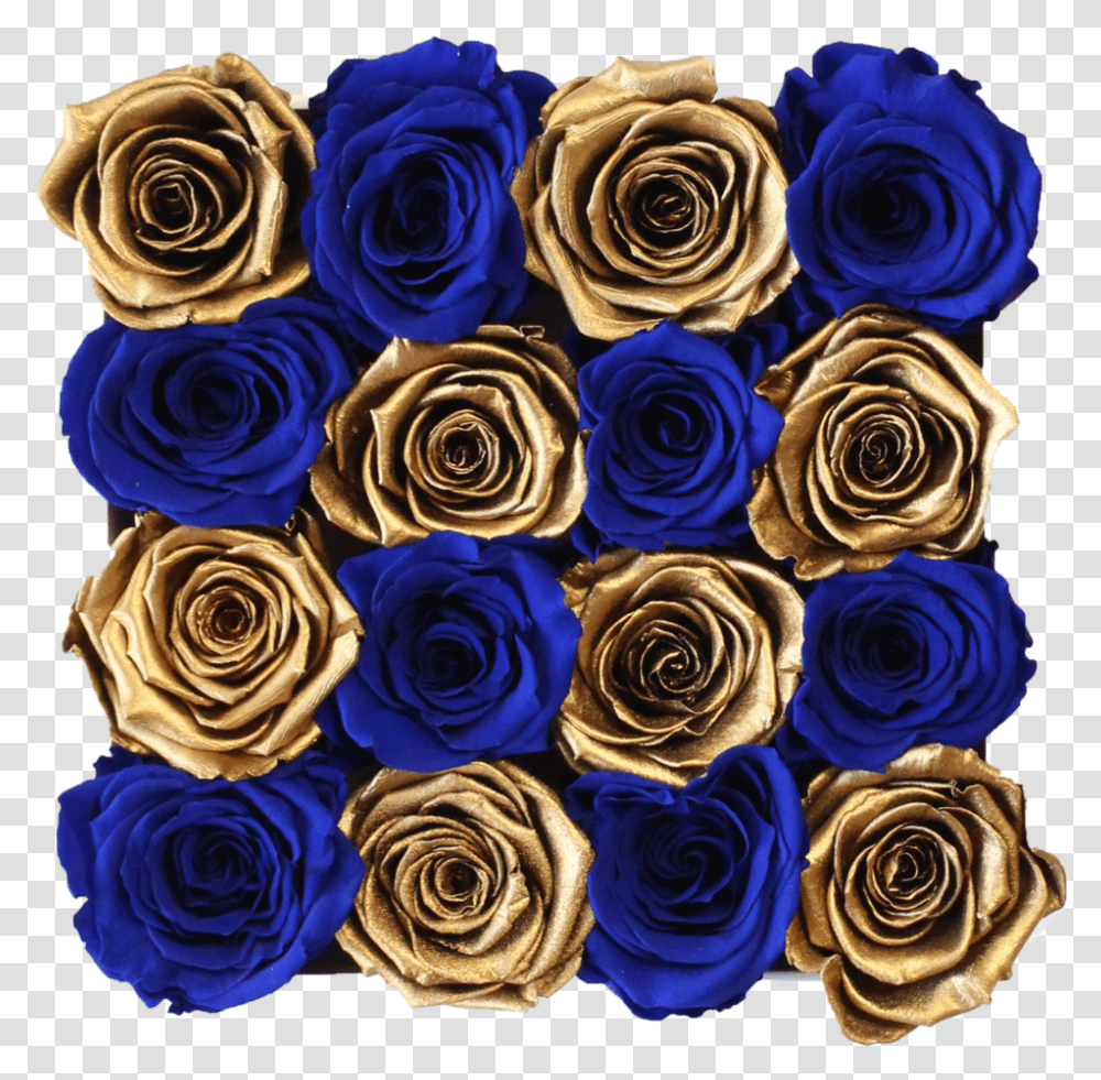 Royal Blue And Gold Preserved Roses White Square Rose Hat Box Blue Rose, Flower, Plant, Blossom, Graphics Transparent Png