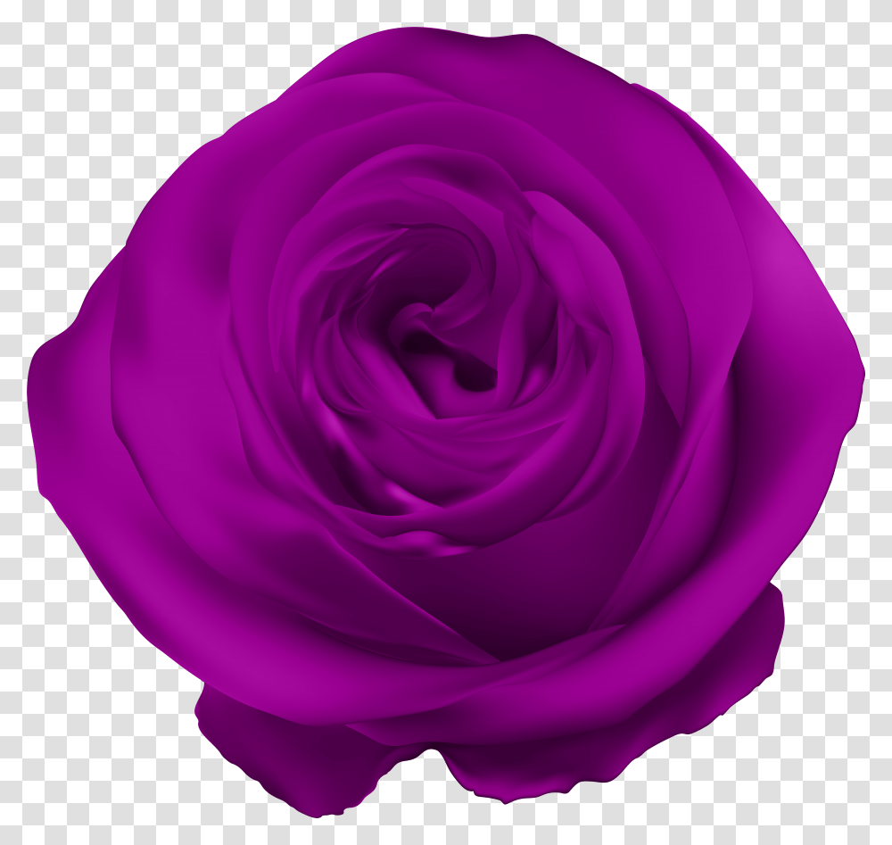 Royal Blue Rose Flower Transparent Png