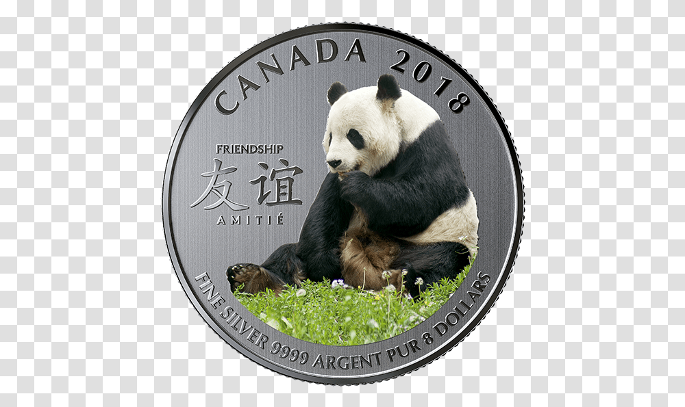Royal Canadian Mint Panda Coin, Giant Panda, Bear, Wildlife, Mammal Transparent Png
