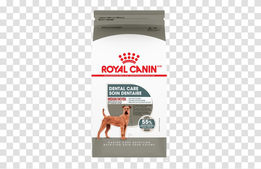 Royal Canin Dental Food For Dogs, Flyer, Poster, Advertisement, Pet Transparent Png