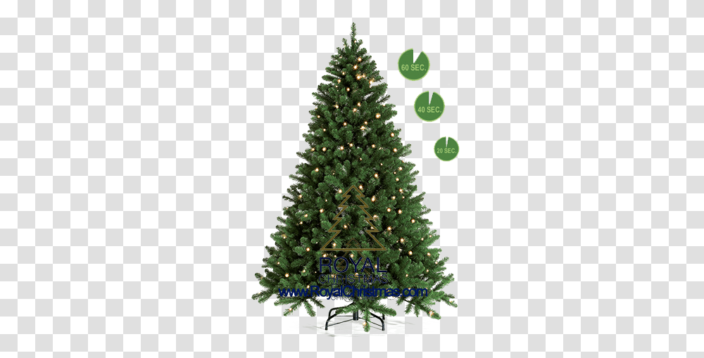 Royal Christmas 1 Minute Tree Line 1 Minute Artificial Christmas Tree, Ornament, Plant, Pine Transparent Png