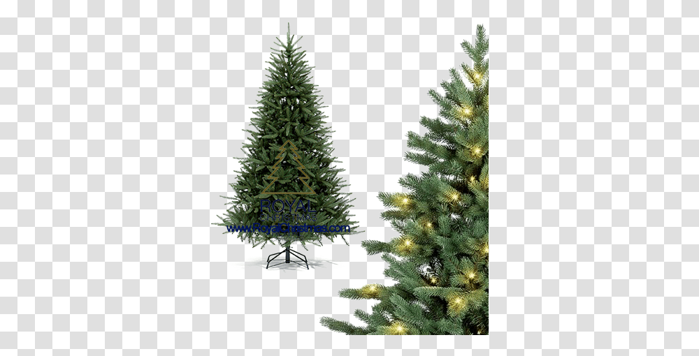 Royal Christmas Premium Line Artificial Christmas Trees, Plant, Ornament, Pine, Fir Transparent Png