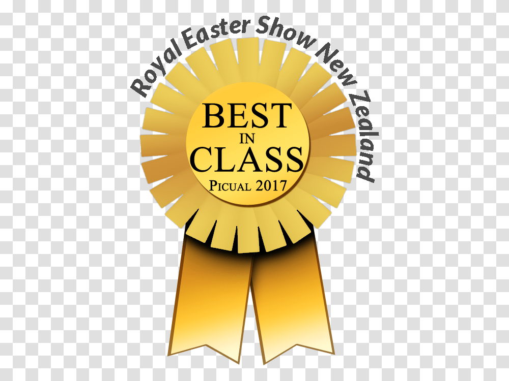 Royal Easter Show Best In Class Dr. Rafael Belloso Chacin University, Gold, Trophy, Gold Medal Transparent Png
