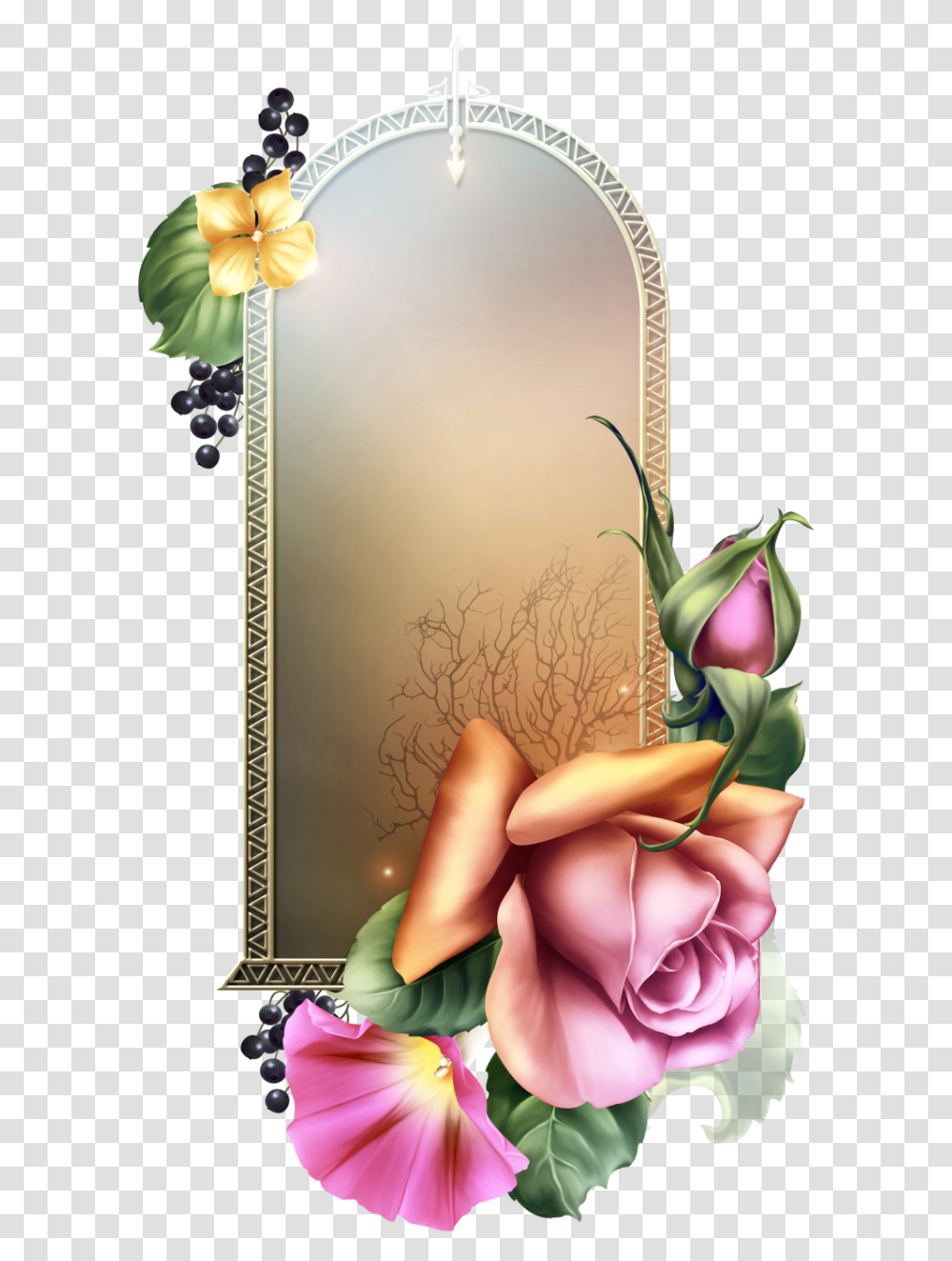 Royal Frame, Plant, Flower, Rose Transparent Png