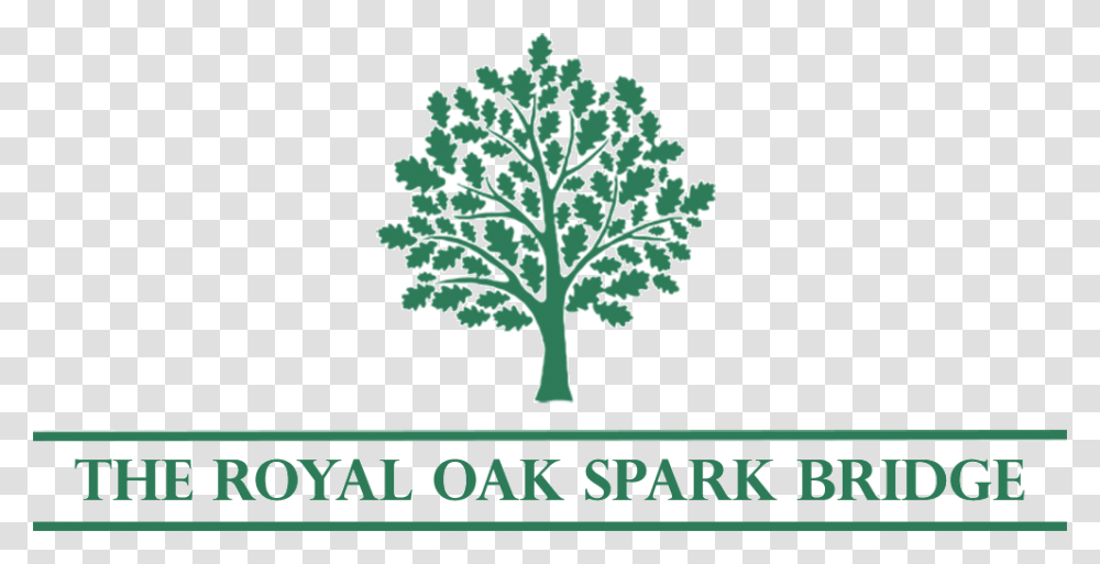 Royal Oak Banner Copy1 Clipart Black And White Animals, Plant, Tree, Kale, Cabbage Transparent Png