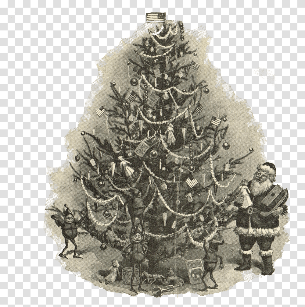 Royalty Free Antique Christmas Tree Illustration Via Christmas Tree Illustration Vintage, Plant, Ornament, Person, Human Transparent Png