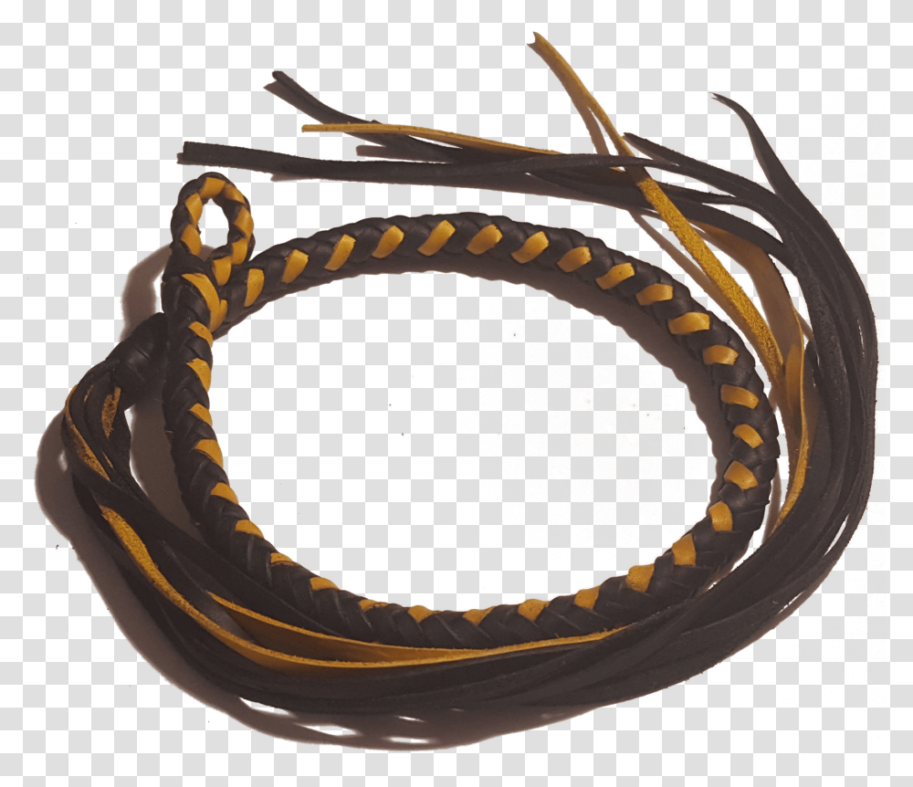 Royalty Free Library Galley Snake Pocket Snakes Headpiece, Accessories, Accessory, Reptile, Animal Transparent Png