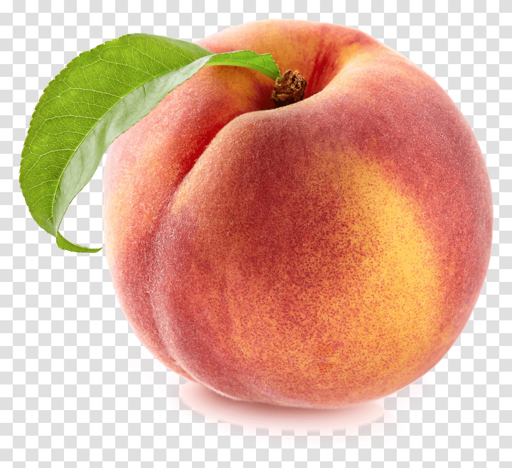 Royalty Free Nectarine Peach Photography Peach, Plant, Fruit, Food, Apple Transparent Png