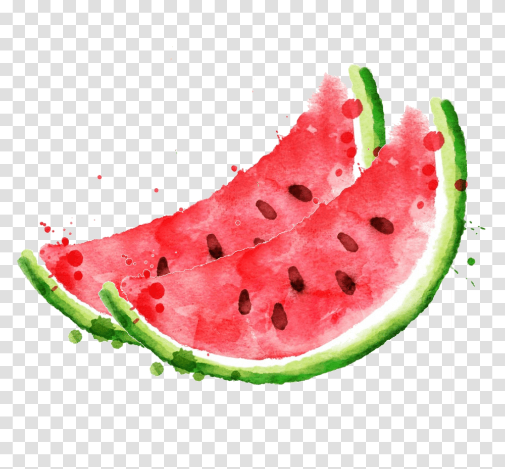 Royalty Free Stock Photography Clip Art Royaltyfree Watermelon Watercolor, Plant, Fruit, Food, Birthday Cake Transparent Png