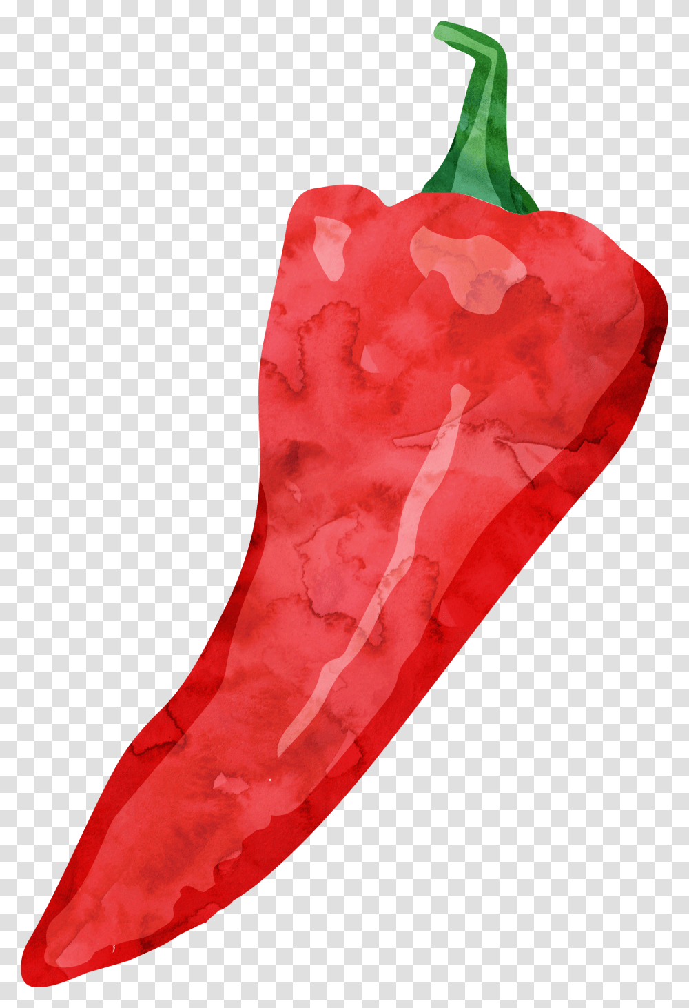 Royalty Free Stock Tabasco Pepper Cayenne Watercolor Jalapeno Watercolor Pepper, Clothing, Apparel, Heart Transparent Png