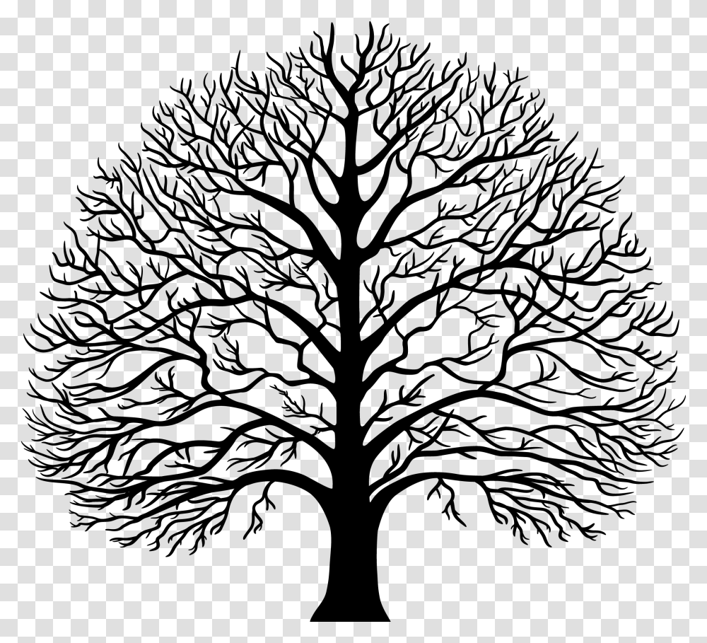 Royalty Free Tree Drawing, Plant, Pattern, Root Transparent Png