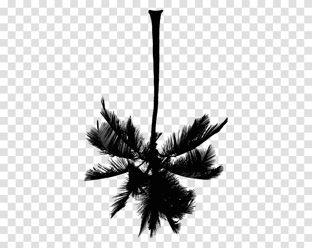 Roystonea, Plant, Flower, Blossom, Silhouette Transparent Png