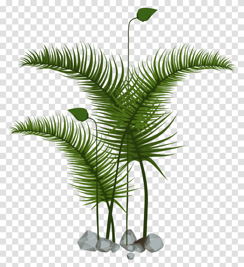Roystonea, Plant, Green, Vase, Jar Transparent Png