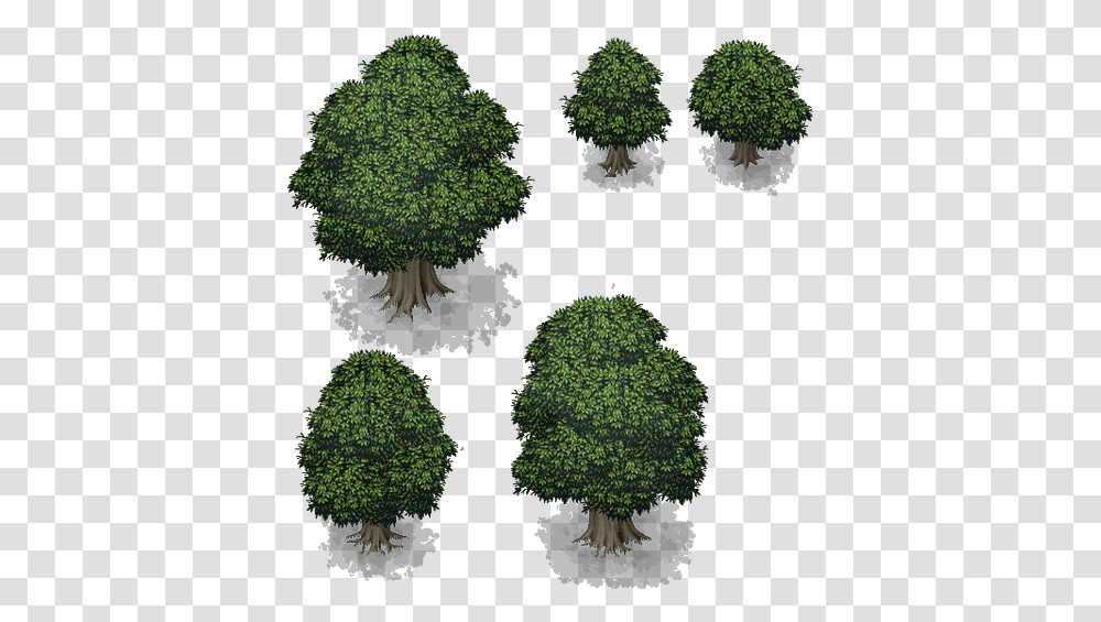 Rpg Maker Mv Tree, Broccoli, Vegetable, Plant, Food Transparent Png