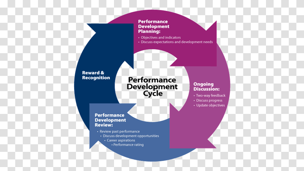 Rr Team Performance Management Cycle, Advertisement, Poster, Flyer, Paper Transparent Png