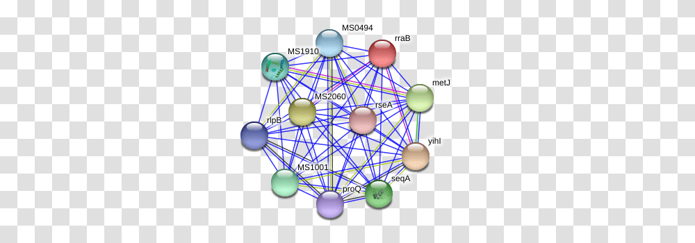 Rrab Protein Circle, Network, Balloon Transparent Png