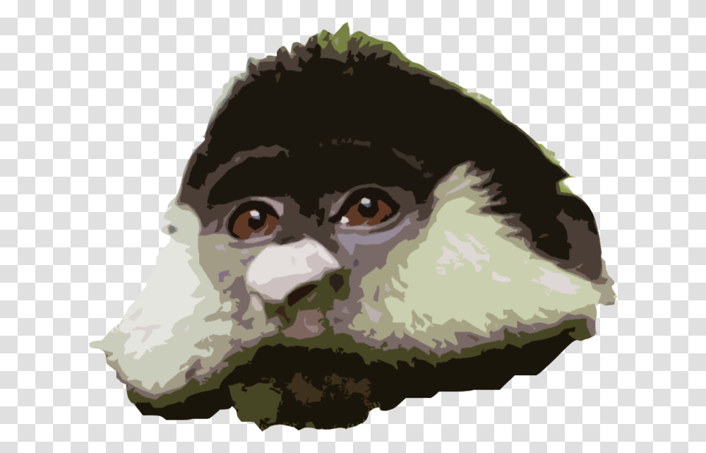 Rtface Monkey, Animal, Mammal, Wildlife, Bird Transparent Png