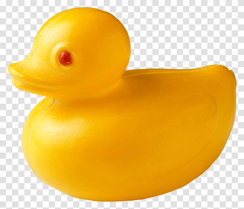 Rubber Duck, Animal, Bird, Beak Transparent Png