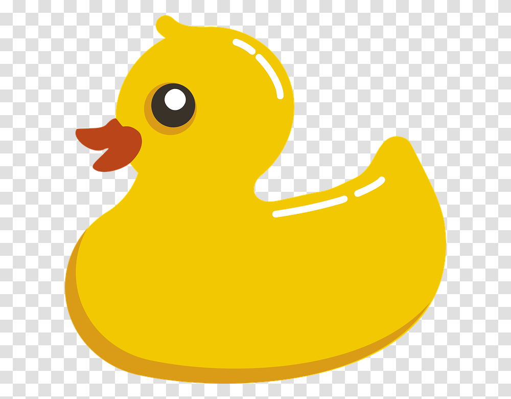 Rubber Duck, Animal, Bird, Fowl, Poultry Transparent Png