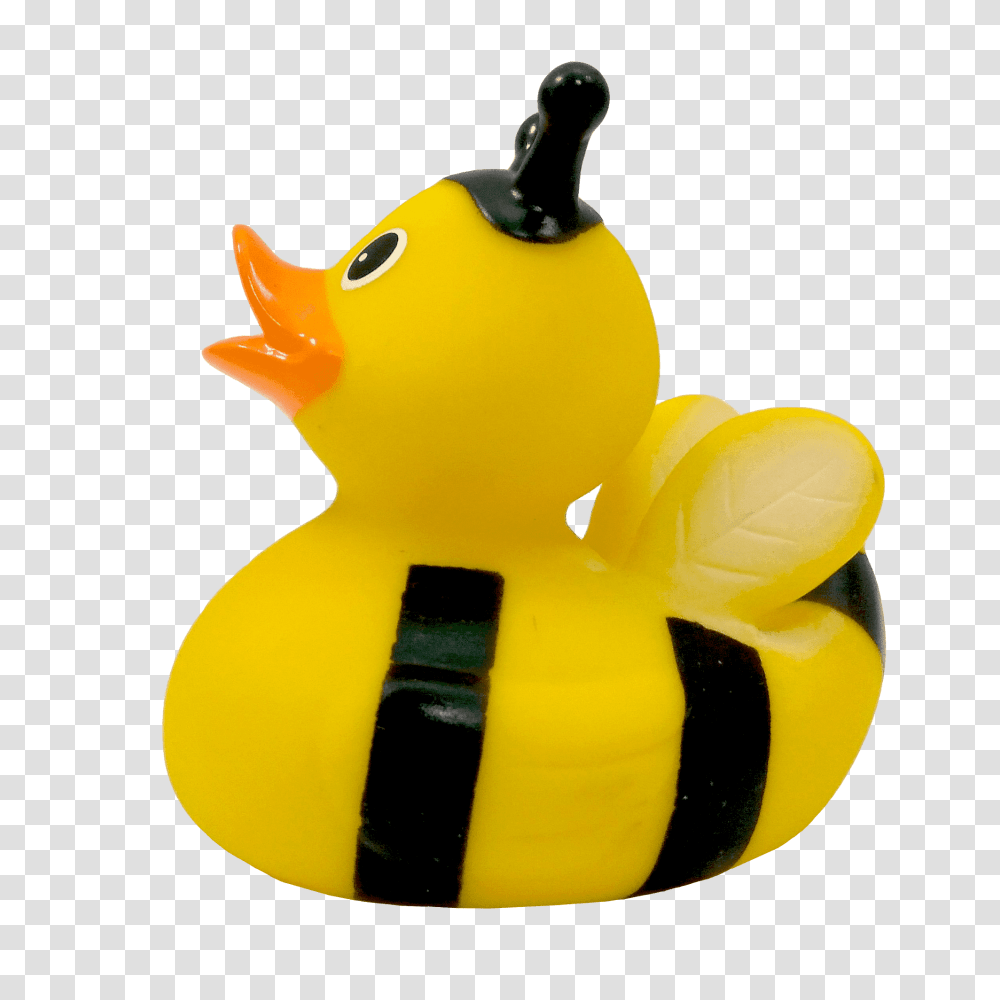 Rubber Duck, Animal, Toy, Rock Beauty, Sea Life Transparent Png