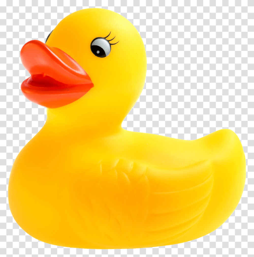 Rubber Duck Background Duck, Bird, Animal, Toy, Beak Transparent Png