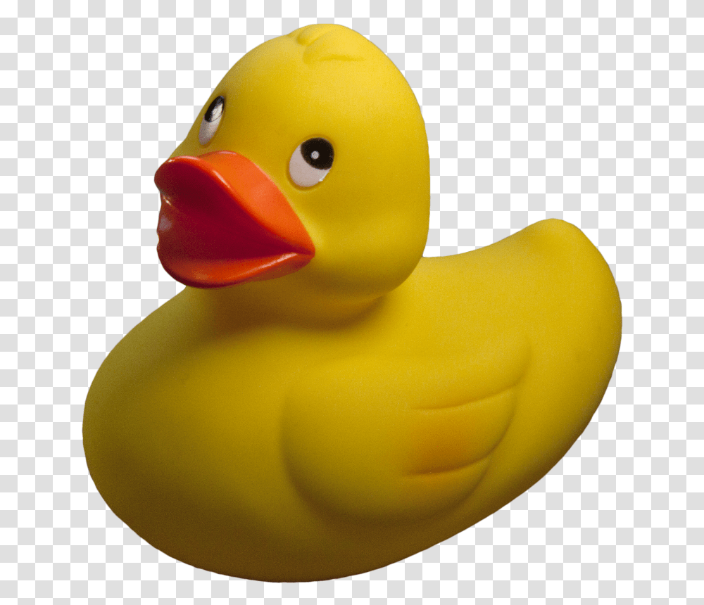 Rubber Duck Background, Toy, Bird, Animal, Beak Transparent Png