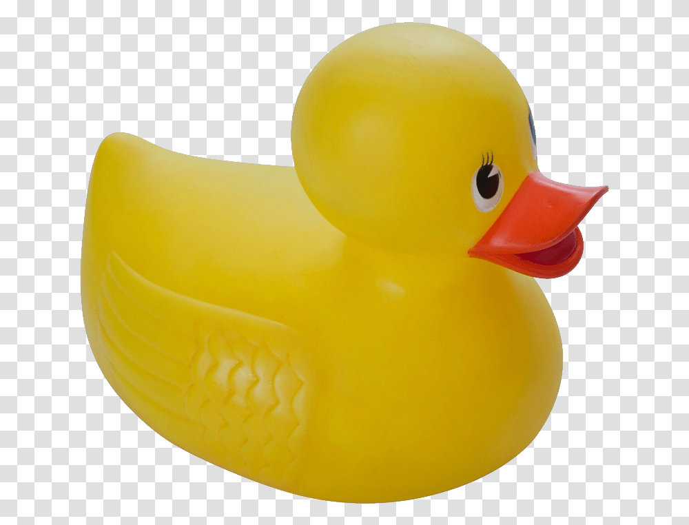 Rubber Duck Bada Anka, Bird, Animal, Beak, Waterfowl Transparent Png