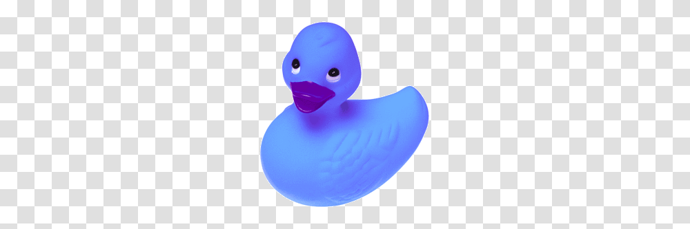 Rubber Duck, Bird, Animal, Cushion, Balloon Transparent Png