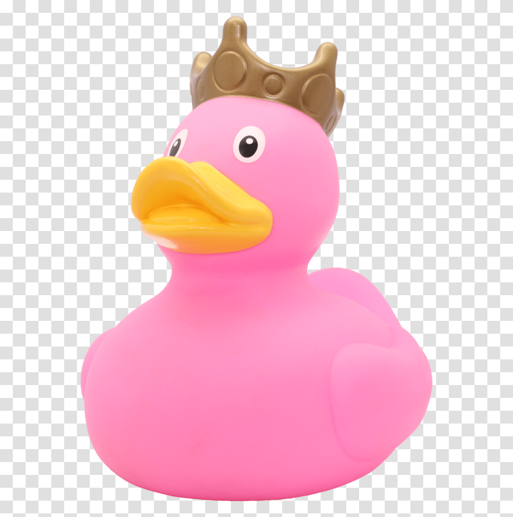 Rubber Duck, Bird, Animal, Dodo, Beak Transparent Png