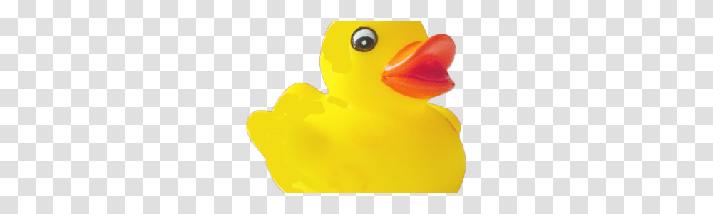 Rubber Duck, Bird, Animal, Pac Man, Rubber Eraser Transparent Png