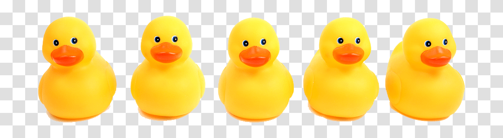 Rubber Duck, Bird, Animal, Penguin, Waterfowl Transparent Png