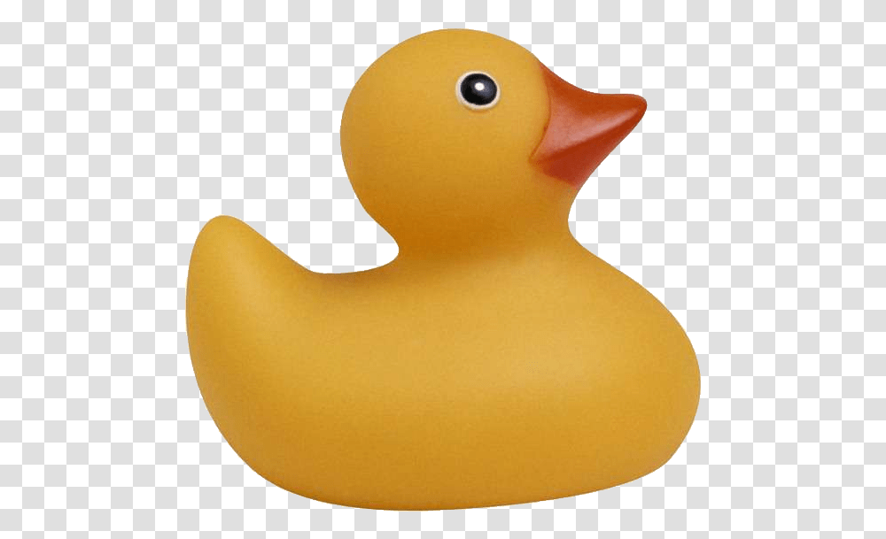 Rubber Duck, Bird, Animal, Plant, Waterfowl Transparent Png