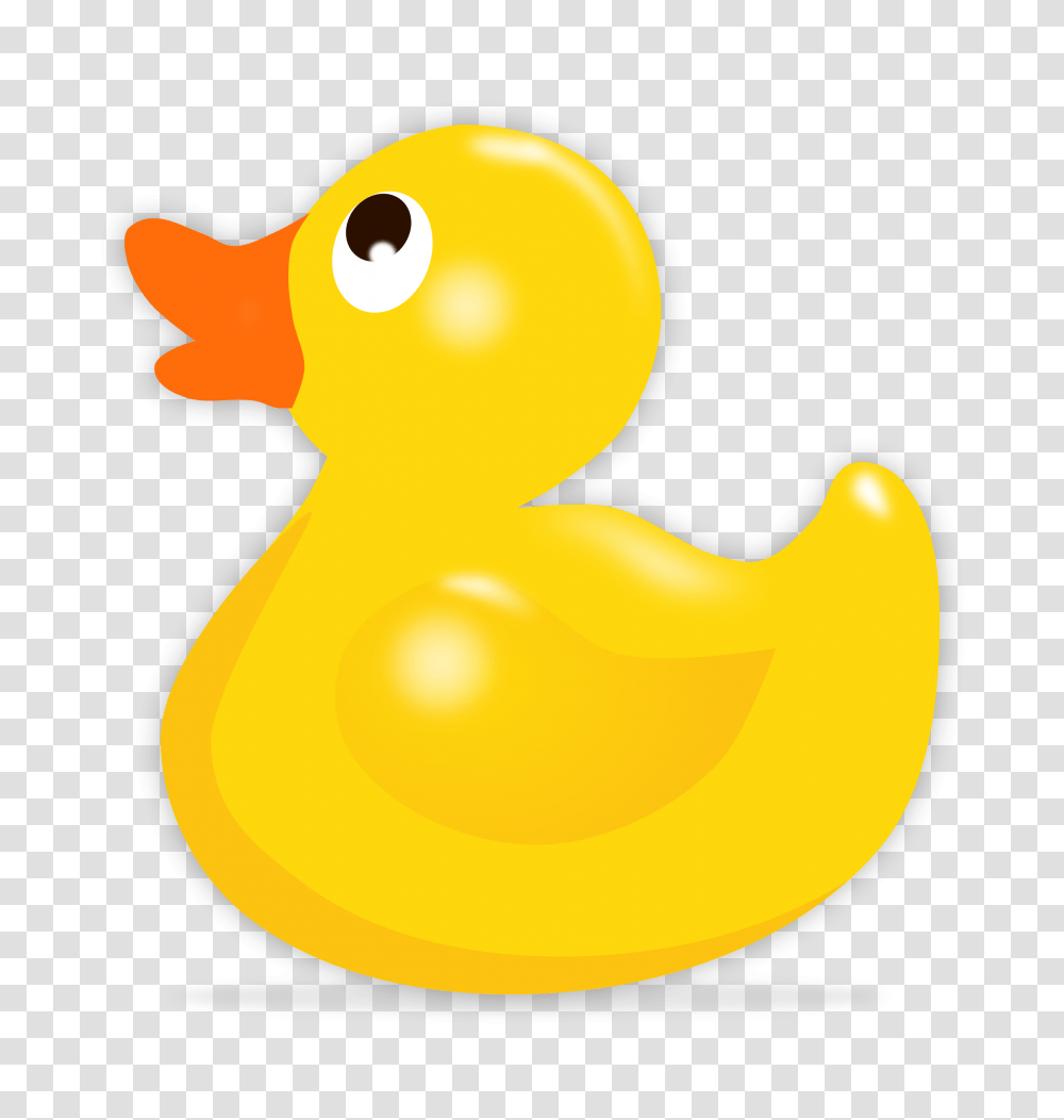 Rubber Duck, Bird, Animal, Poultry, Fowl Transparent Png