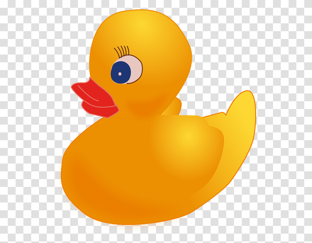 Rubber Duck, Bird, Animal, Poultry, Fowl Transparent Png