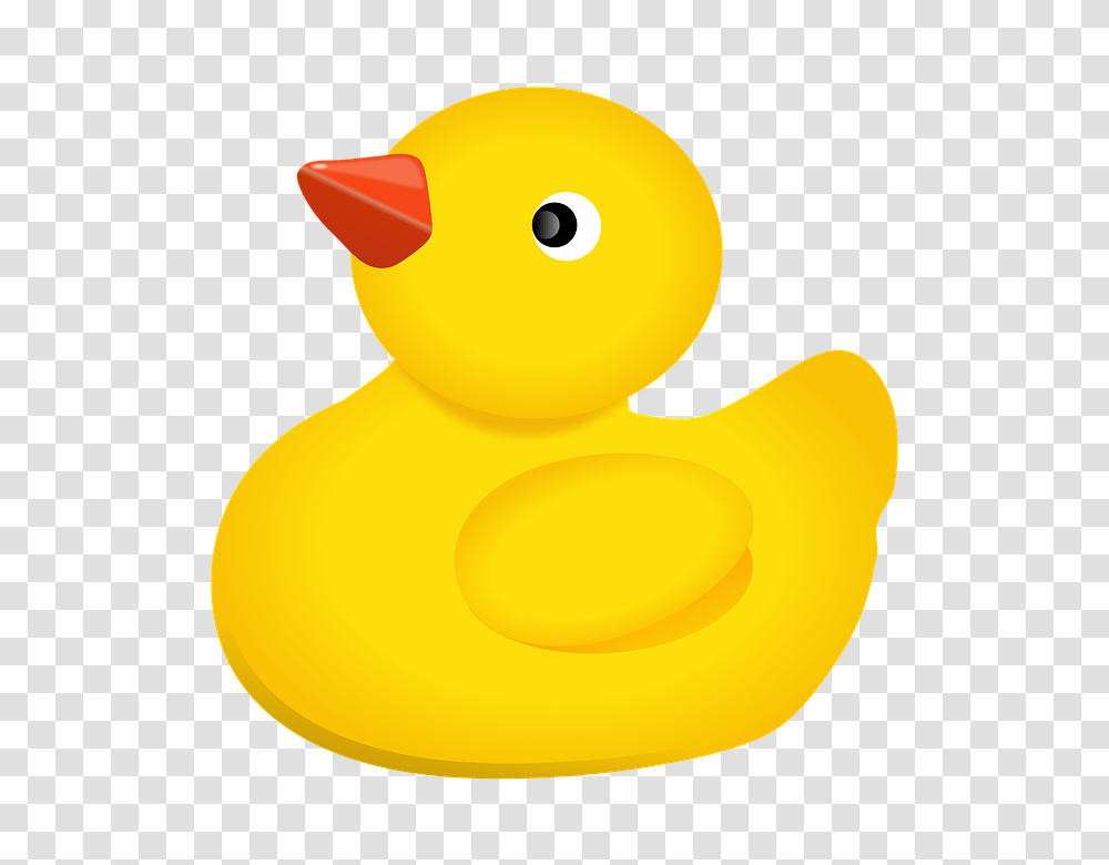 Rubber Duck, Bird, Animal, Poultry, Fowl Transparent Png