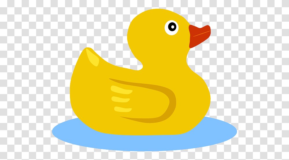 Rubber Duck, Bird, Animal, Food Transparent Png