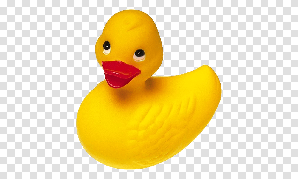 Rubber Duck, Bird, Animal, Toy, Beak Transparent Png