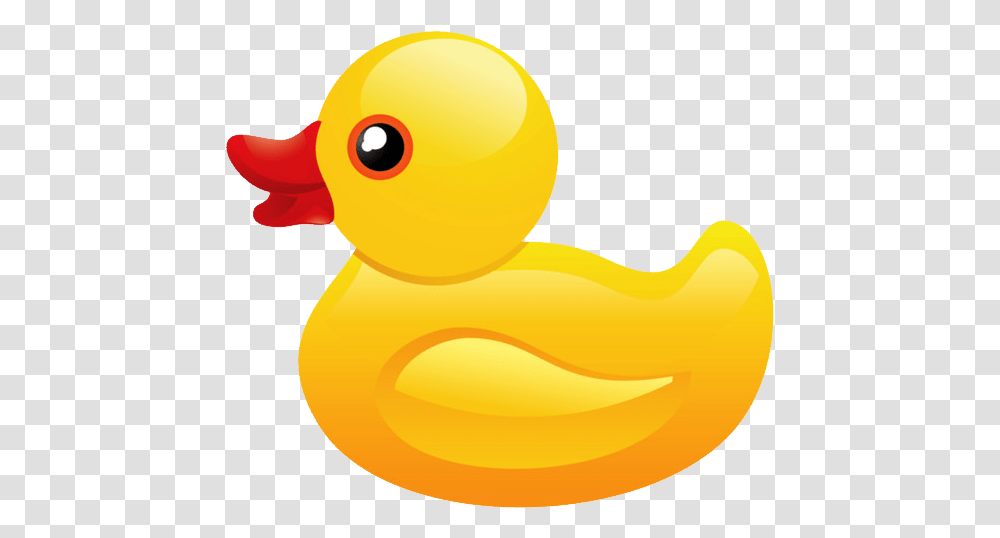 Rubber Duck, Bird, Animal, Toy, Fowl Transparent Png