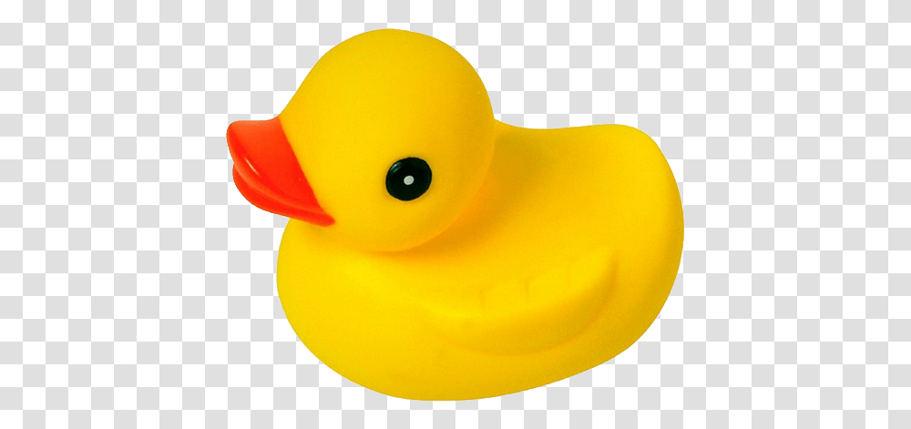 Rubber Duck, Bird, Animal, Toy, Peeps Transparent Png