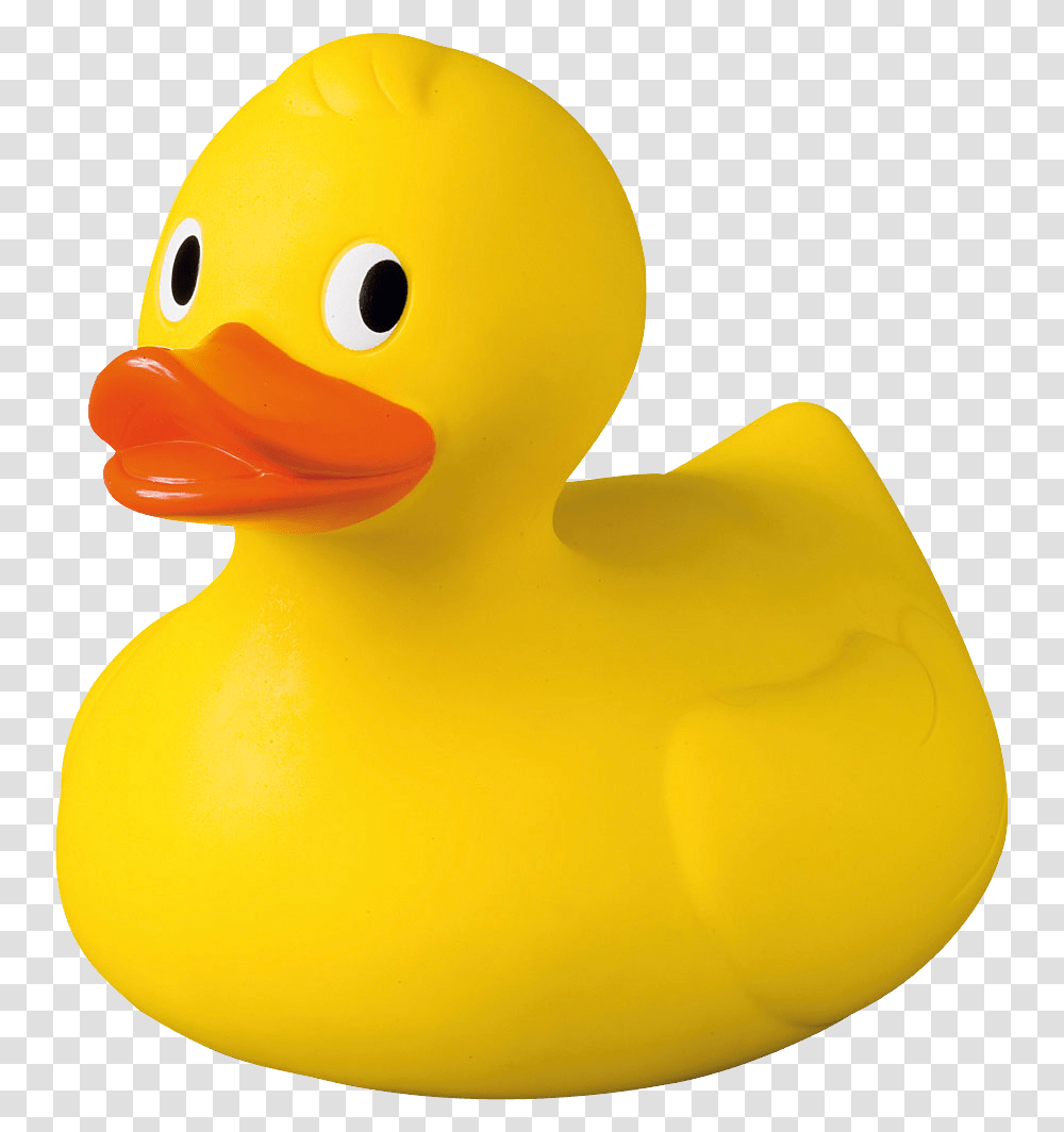 Rubber Duck, Bird, Animal, Toy Transparent Png