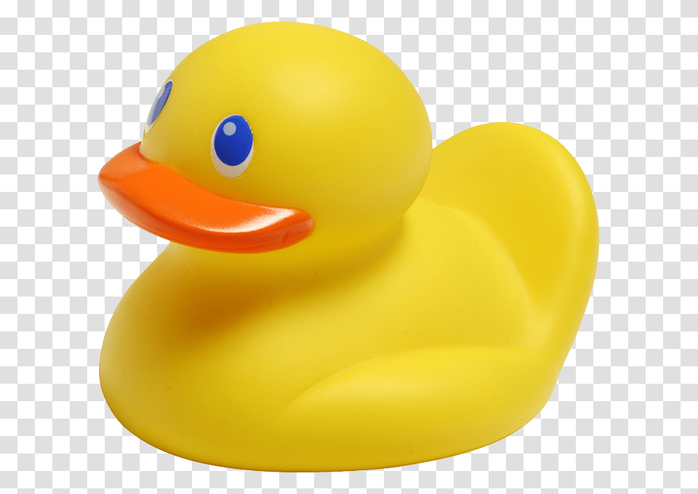 Rubber Duck, Bird, Animal, Toy, Waterfowl Transparent Png