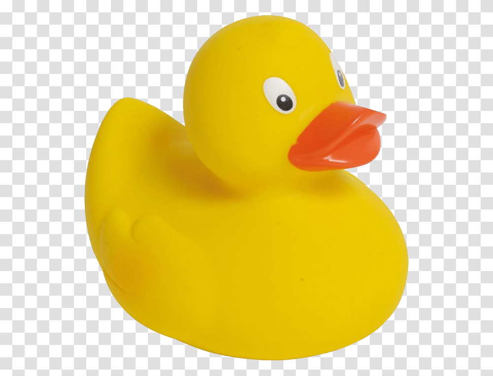 Rubber Duck, Bird, Animal, Toy, Waterfowl Transparent Png