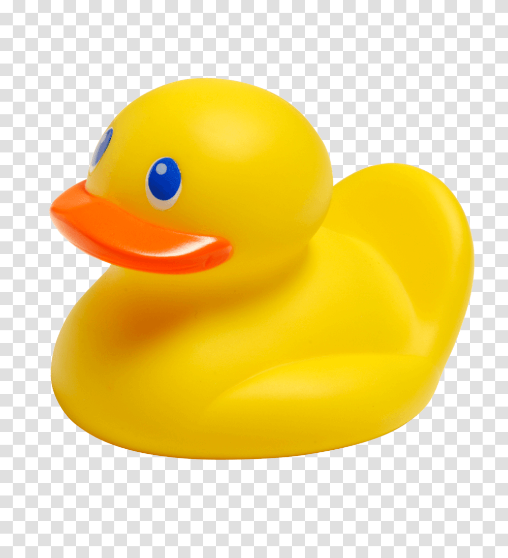 Rubber Duck, Bird, Animal, Waterfowl, Toy Transparent Png