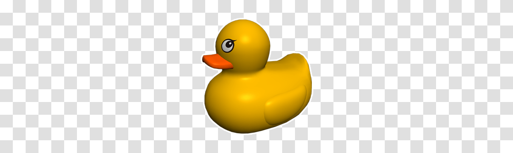 Rubber Duck, Bird, Animal, Waterfowl Transparent Png