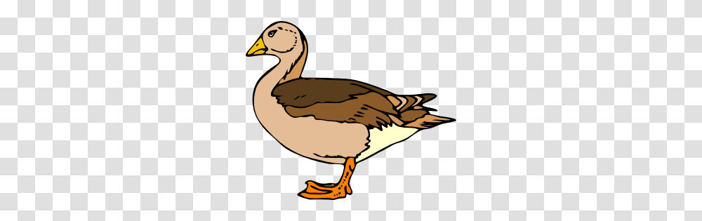 Rubber Duck Clip Art Free Clipart, Bird, Animal, Goose, Waterfowl Transparent Png