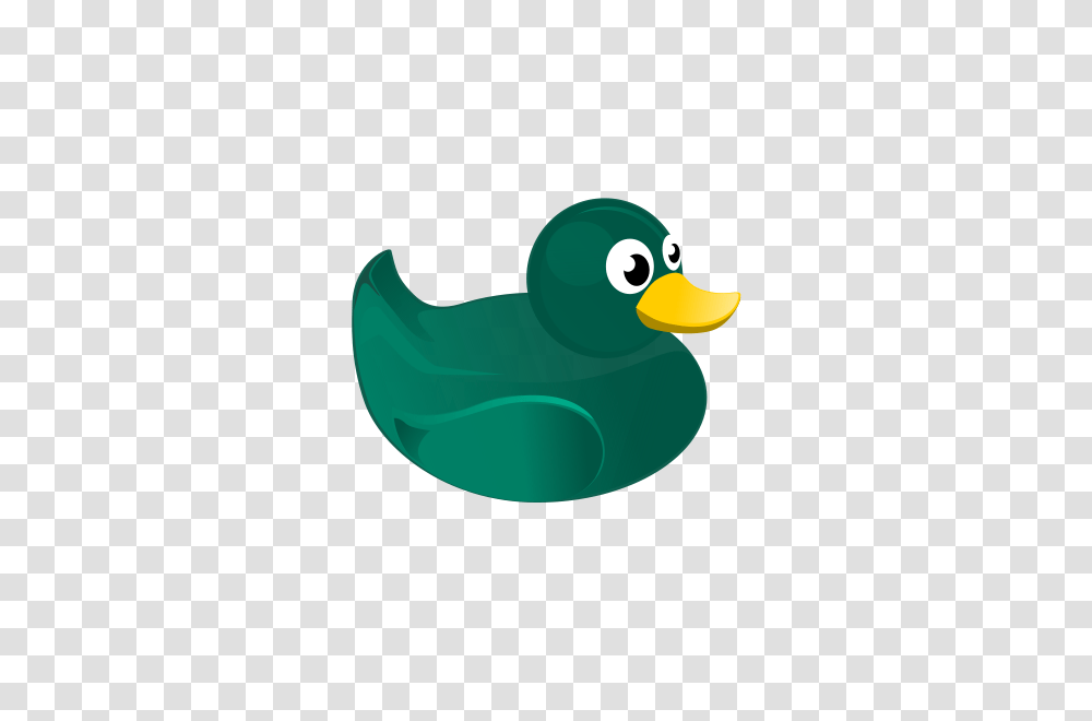 Rubber Duck Clipart, Bird, Animal, Waterfowl, Beak Transparent Png