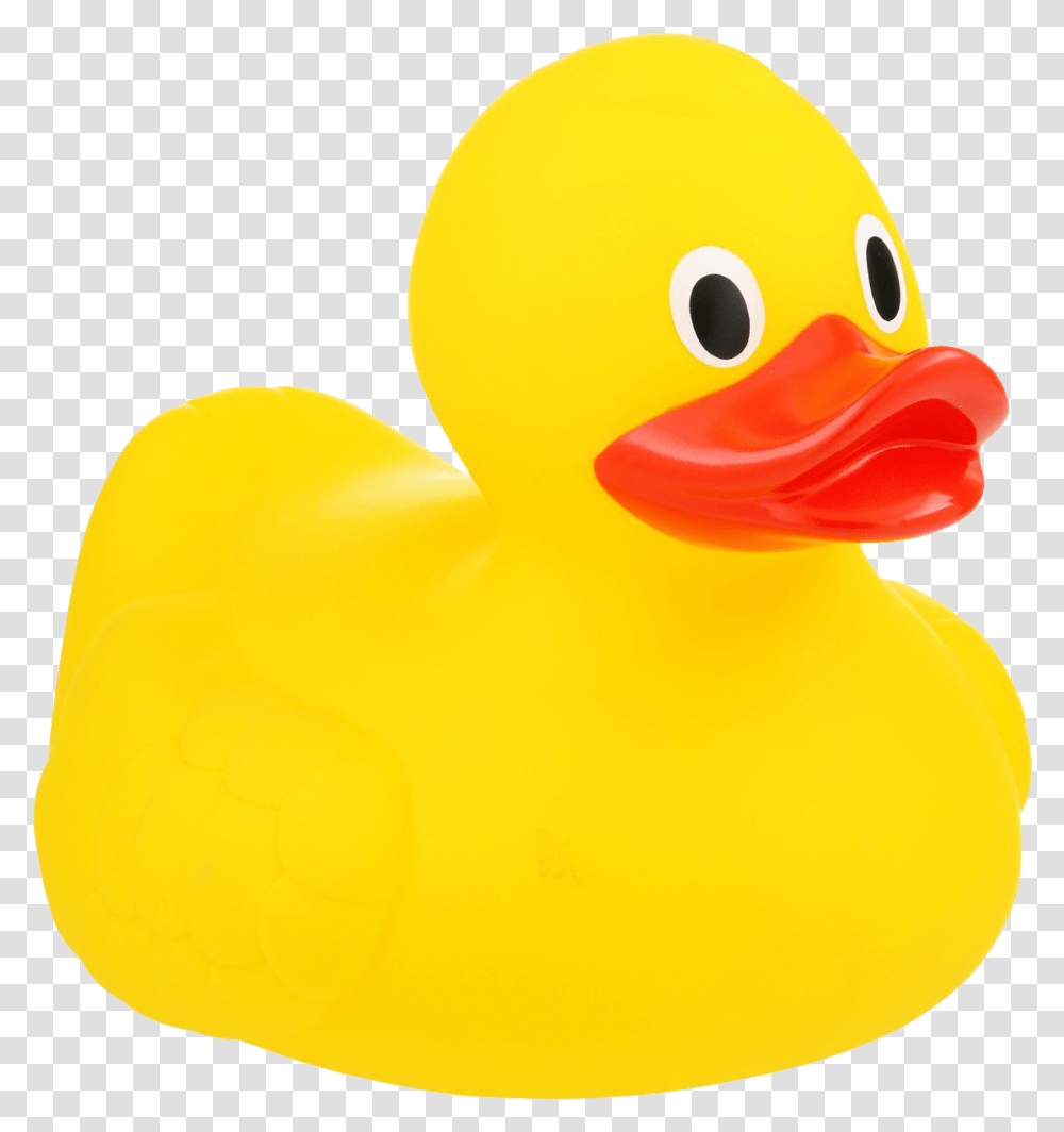 Rubber Duck Free Download Rubber Ducky, Bird, Animal, Toy, Fowl Transparent Png